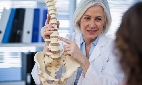 Doctor explaining anatomical spine to patient in medical office